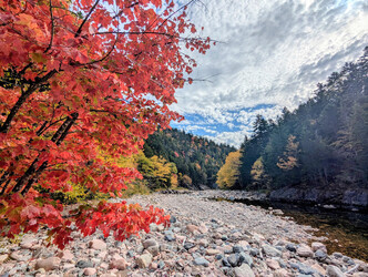 Randonnées guidées au Sentier Fundy - Série d'Octobre