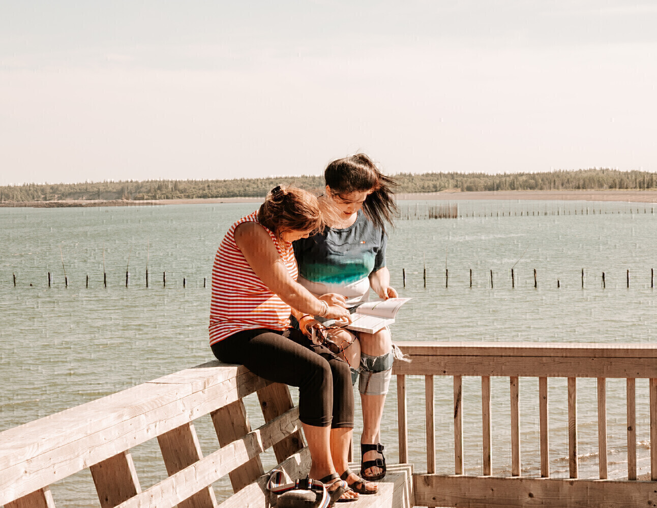 Gallery Herring Cove Provincial Park Parks Explore New Brunswick's Provincial Parks NB Parks