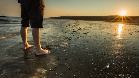 Herring Cove Provincial Park